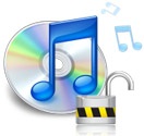 DVD-Kopierschutz entfernen