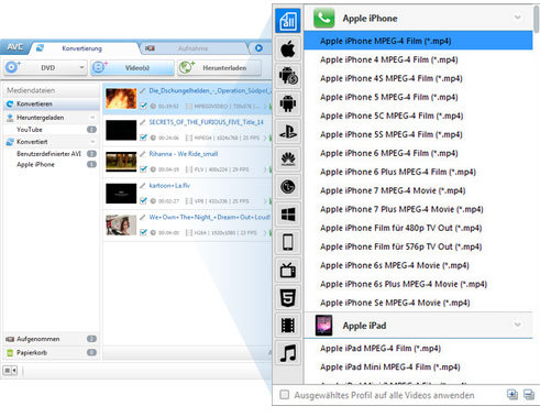 Hauptschnittstelle von Any Video Converter Ultimate