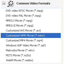 DVD to Windows Media Player Converter Output Profile