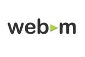Convert WebM for Zune