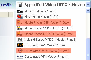 Select video format for BlackBerry Storm 9500