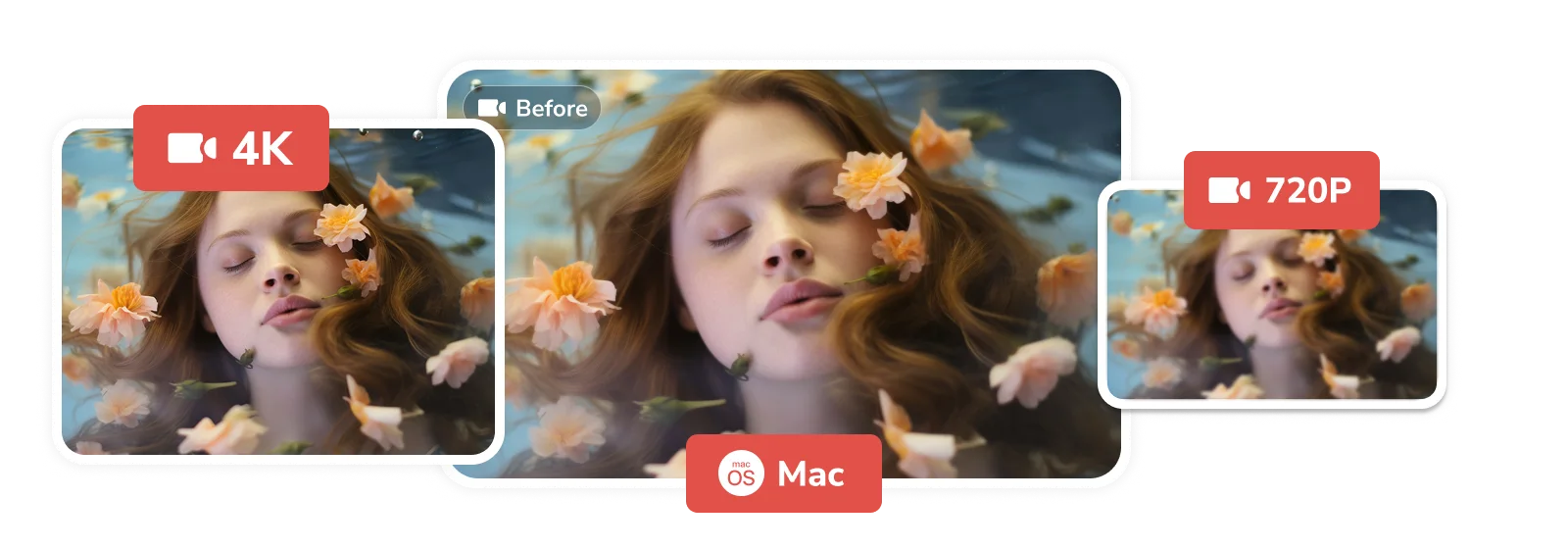 free and high quality coexist