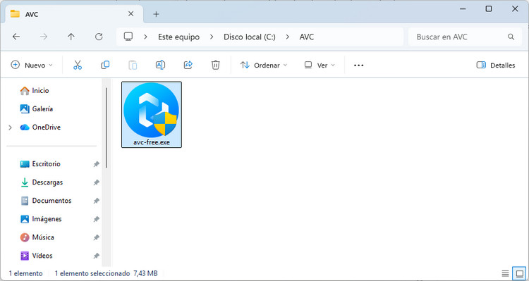 Abrir el instalador de Any Video Converter