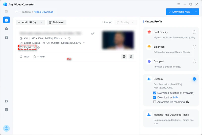 parse a video that includes subtitles
