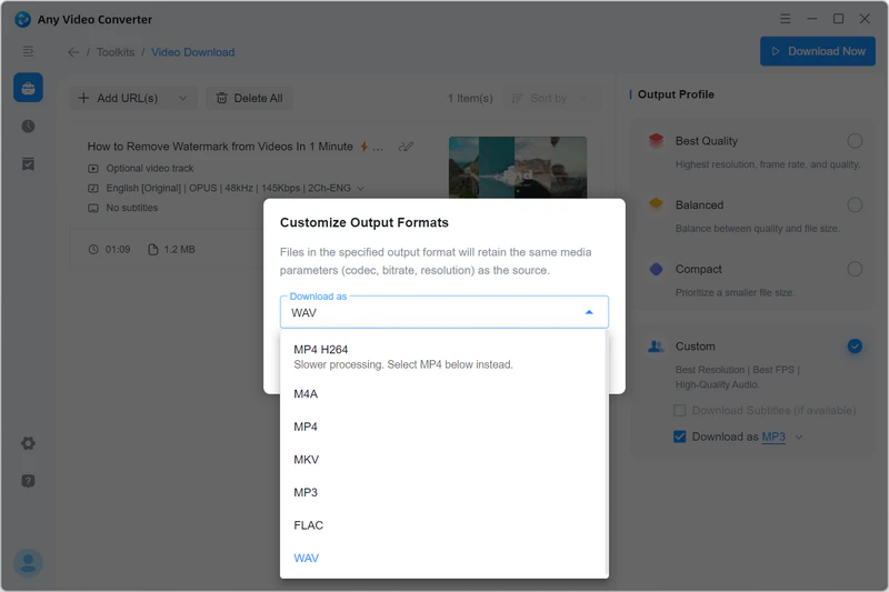 select wav as the output format